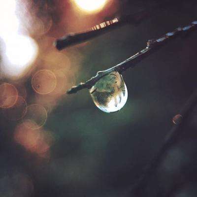 AG百家家乐app手机app下载